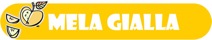 子どものためのイタリア語会話、イタリア語コース