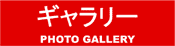 galleria fotografica