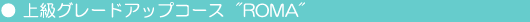 corso Superiore Up-grade Roma